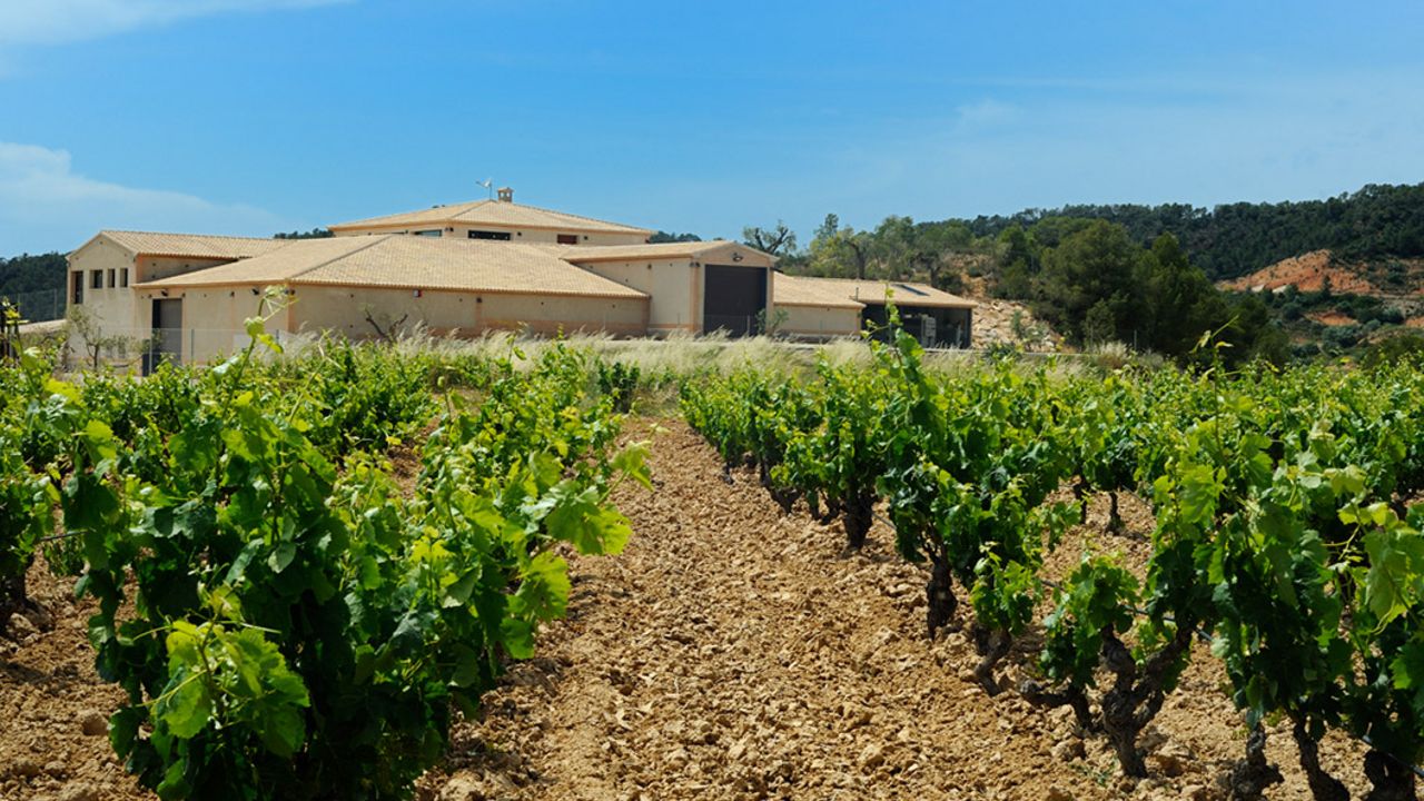 Bodegas Can Blau