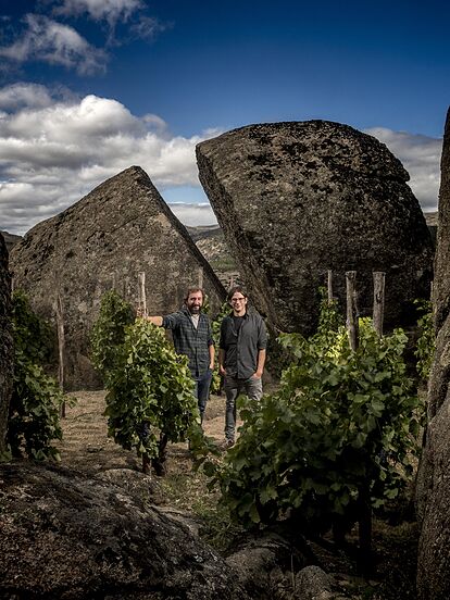 Bodegas Comando G