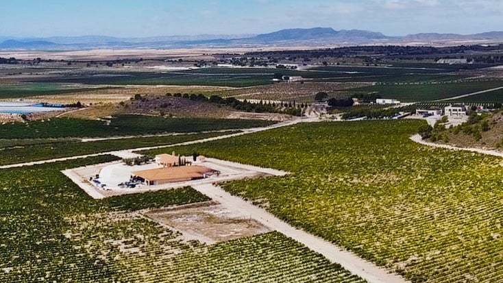 Bodegas El Nido