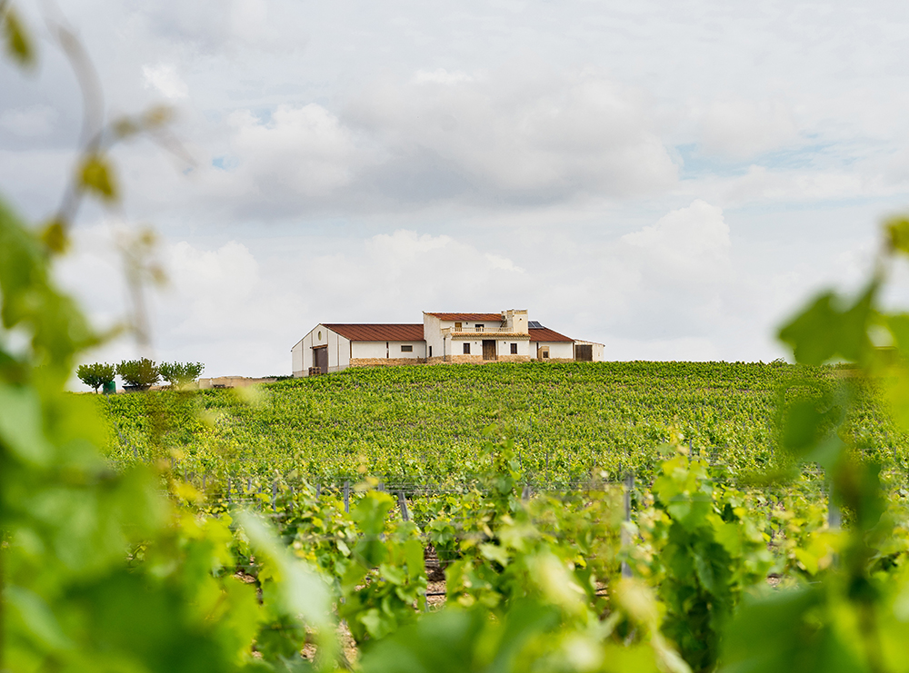 Finca Monastasia